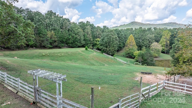 view of yard featuring a rural view and a mountain view