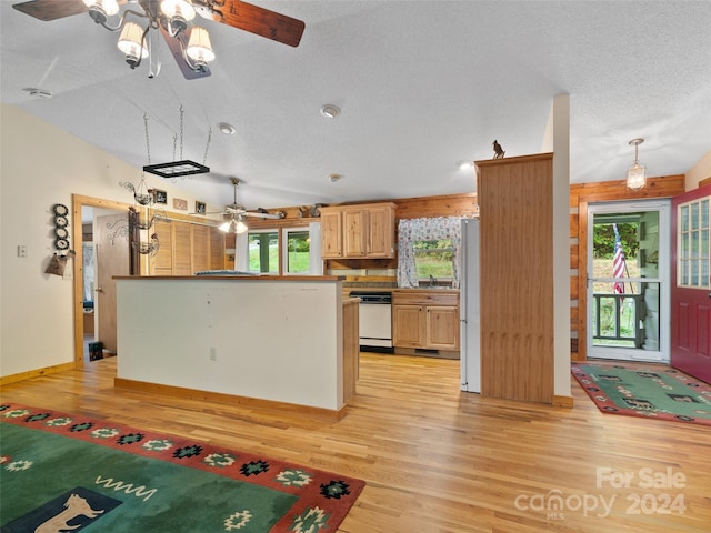 kitchen with ceiling fan, vaulted ceiling, plenty of natural light, and light hardwood / wood-style floors