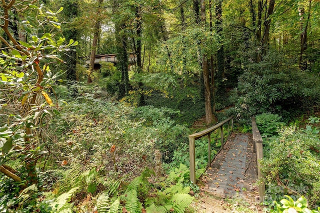 1010 Indian Hill Rd, Hendersonville, NC 28791 - view of woods