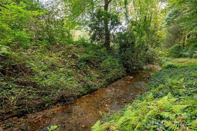 1010 Indian Hill Rd, Hendersonville, NC 28791 - view of undeveloped land