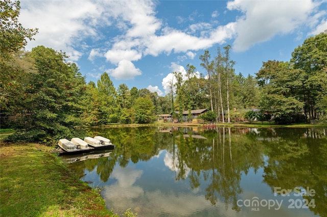 1010 Indian Hill Rd, Hendersonville, NC 28791 - water view with a forest