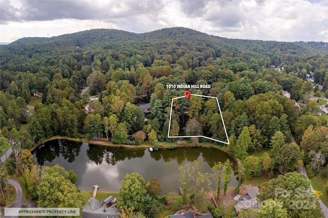 1010 Indian Hill Rd, Hendersonville, NC 28791 - aerial view of property's location featuring a heavily wooded area, property parcel outlined, and a water and mountain view