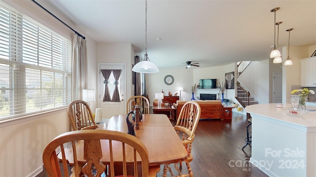 dining room with ceiling fan and dark hardwood / wood-style floors