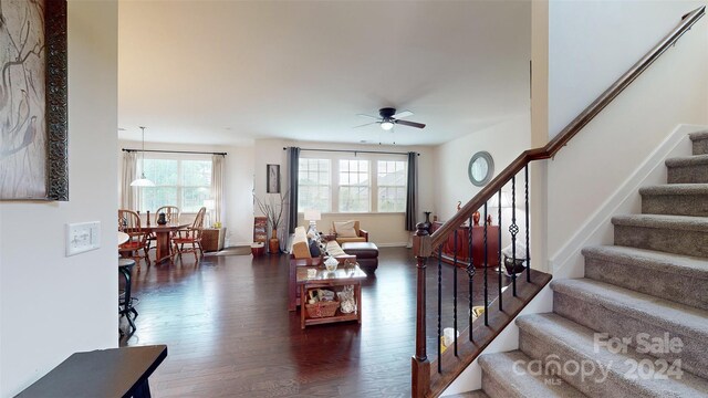 living room with ceiling fan, a healthy amount of sunlight, and dark hardwood / wood-style floors