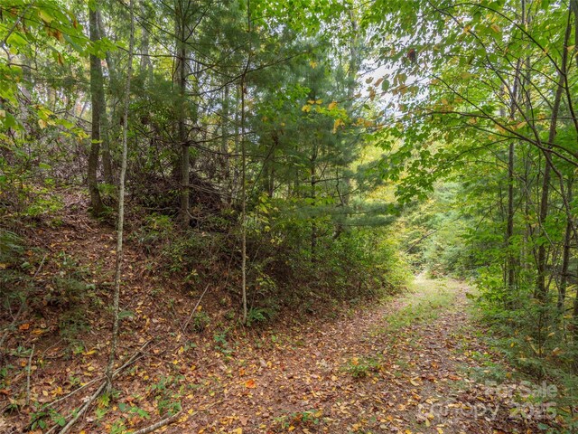 00 Keull Rd, Waynesville, NC 28785