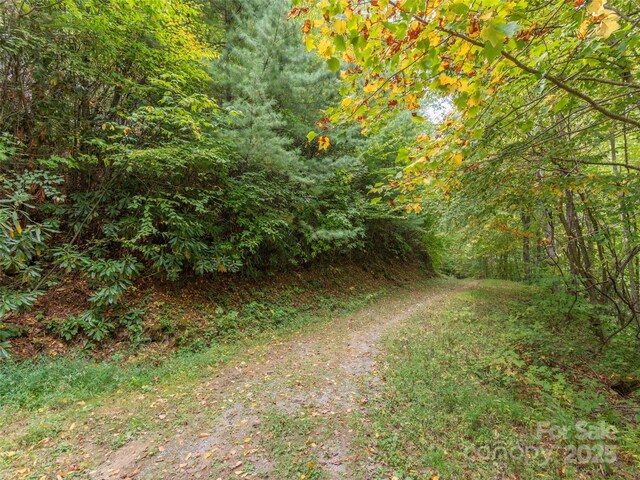 00 Keull Rd, Waynesville, NC 28785