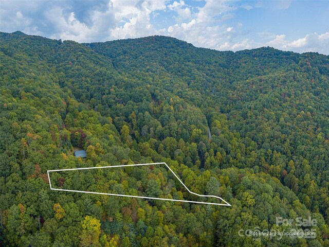 00 Keull Rd, Waynesville, NC 28785