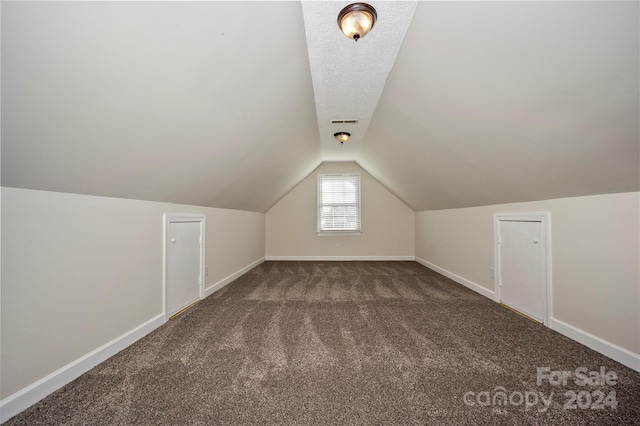 additional living space featuring carpet flooring and vaulted ceiling