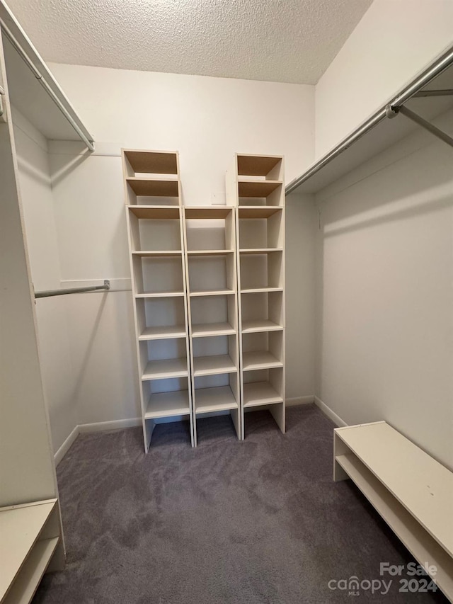 spacious closet with dark carpet