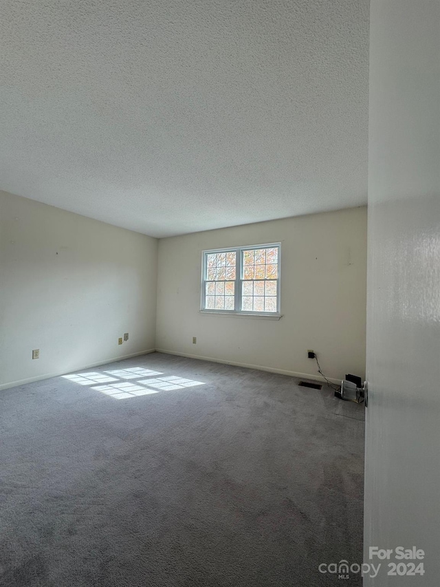 spare room featuring carpet and a textured ceiling