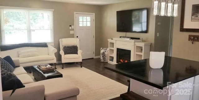 living room with dark hardwood / wood-style floors