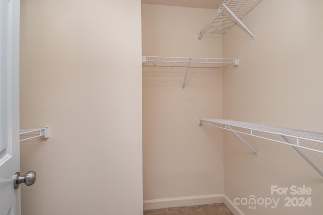 view of spacious closet