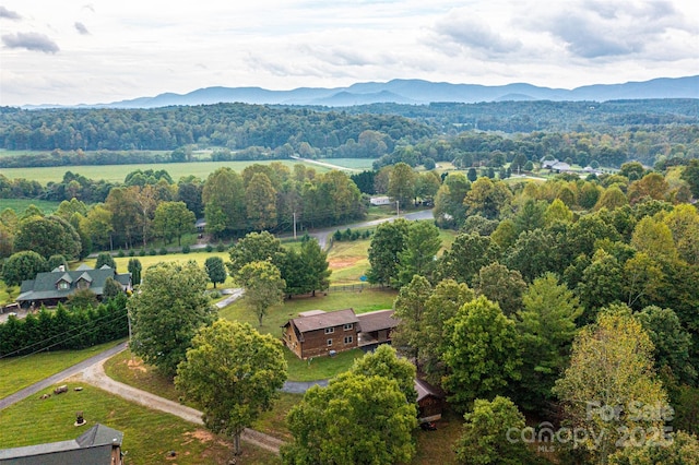 89 Birchfield Mill Loop, Nebo, NC 28761 - photo 14
