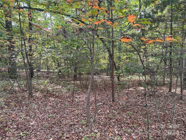 Listing photo 3 for 333 Mossy Oak Trl Unit 164, Nebo NC 28761