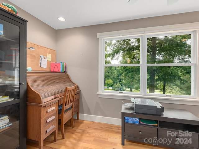 home office featuring light wood-type flooring and plenty of natural light