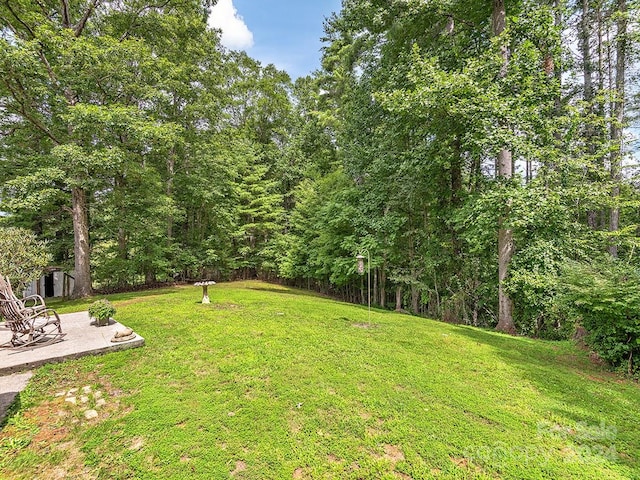 view of yard with a patio