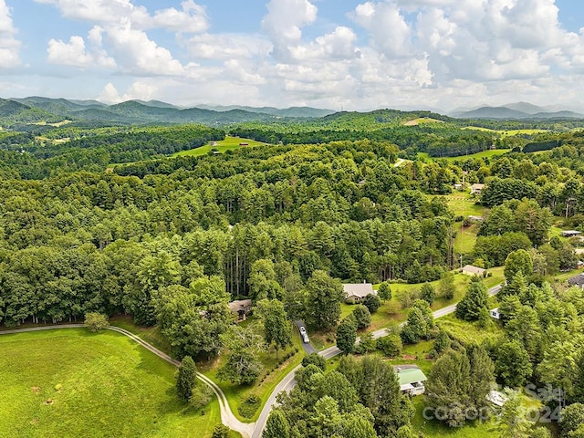 aerial view with a mountain view