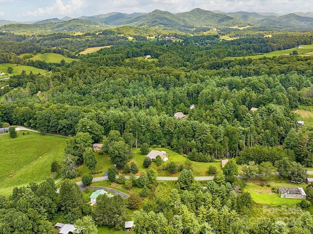 bird's eye view with a mountain view