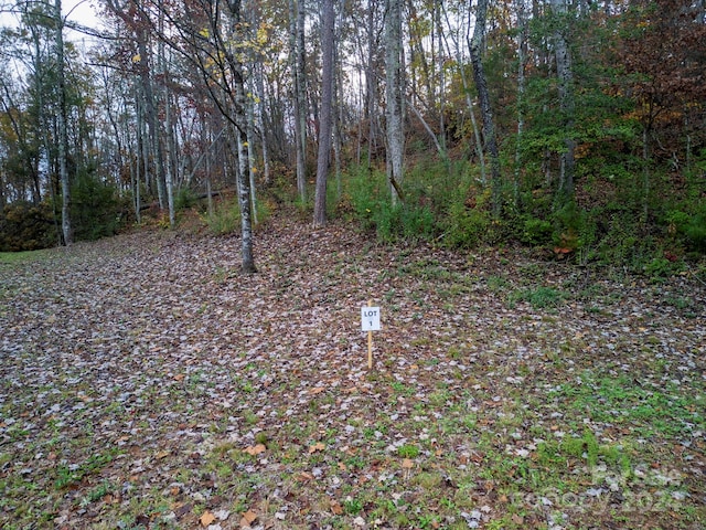 Address Not Disclosed, Old Fort NC, 28762 land for sale