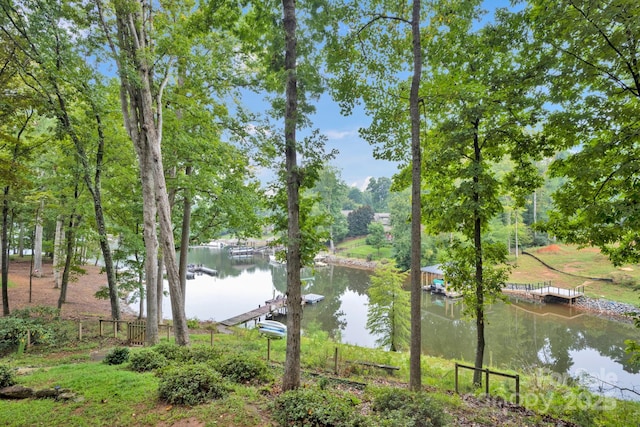 property view of water with a dock