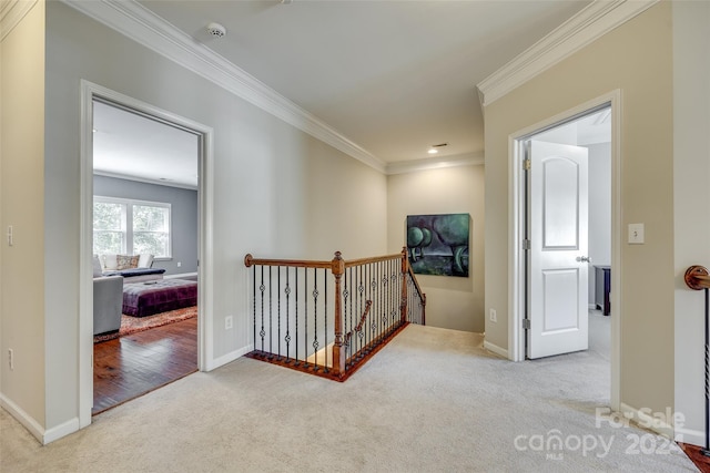 corridor with ornamental molding and light carpet