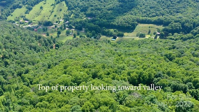 LOT35 Heritage Ridge Rd, Burnsville, NC 28714 - photo 3