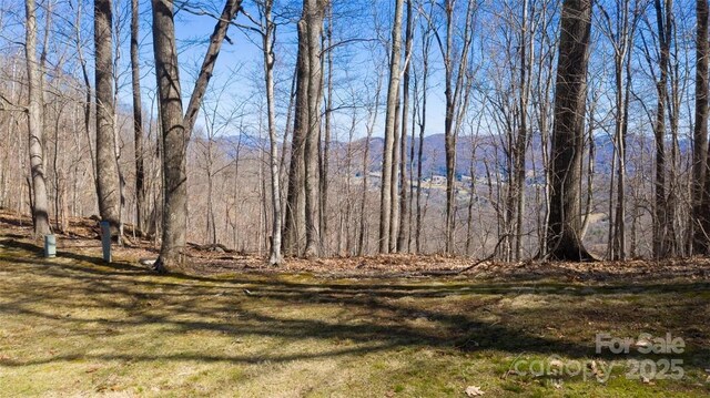 LOT35 Heritage Ridge Rd, Burnsville, NC 28714 - photo 5