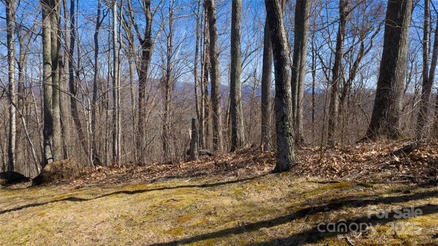 LOT35 Heritage Ridge Rd, Burnsville, NC 28714 - photo 6