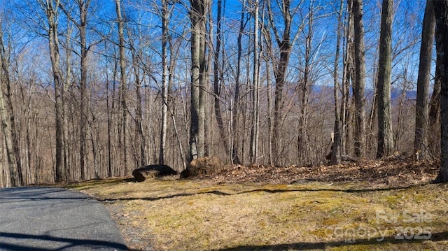LOT35 Heritage Ridge Rd, Burnsville, NC 28714 - photo 7