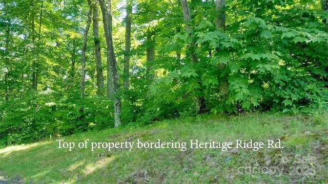 LOT35 Heritage Ridge Rd, Burnsville, NC 28714 - photo 8