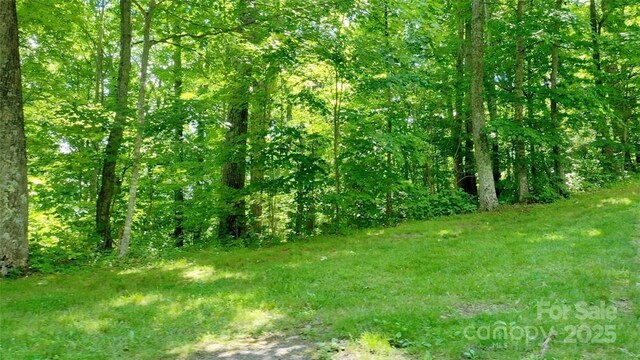 LOT35 Heritage Ridge Rd, Burnsville, NC 28714 - photo 10