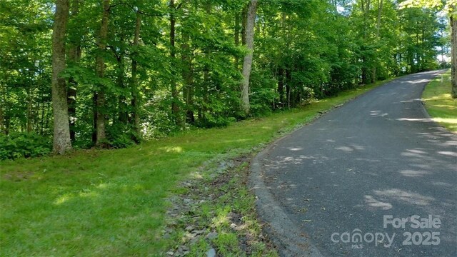 LOT35 Heritage Ridge Rd, Burnsville, NC 28714 - photo 11
