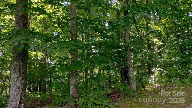 LOT35 Heritage Ridge Rd, Burnsville, NC 28714 - photo 12