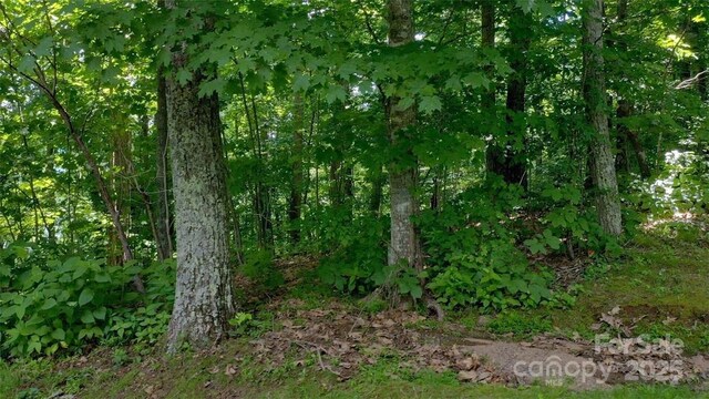 LOT35 Heritage Ridge Rd, Burnsville, NC 28714 - photo 13