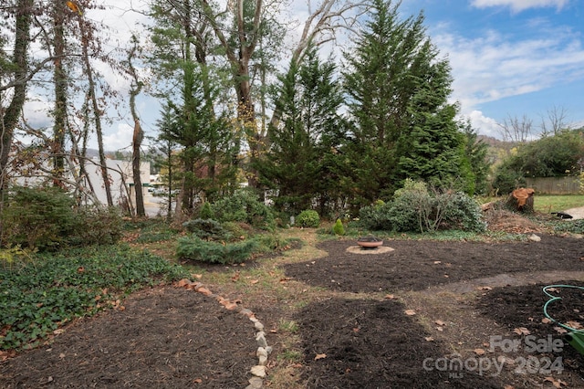 21 Lakeshore Dr, Asheville, NC 28804 - view of yard