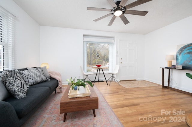 21 Lakeshore Dr, Asheville, NC 28804 - living room with wood finished floors, a ceiling fan, and baseboards