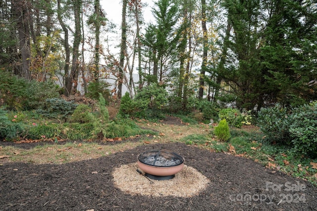 21 Lakeshore Dr, Asheville, NC 28804 - view of yard featuring an outdoor fire pit
