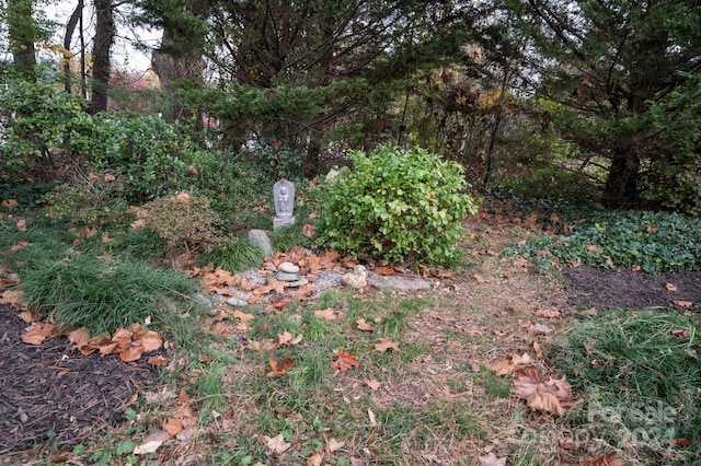 21 Lakeshore Dr, Asheville, NC 28804 - view of yard