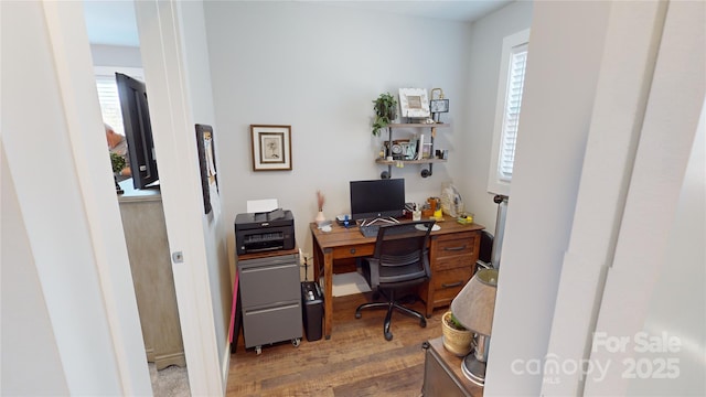 office space featuring wood finished floors