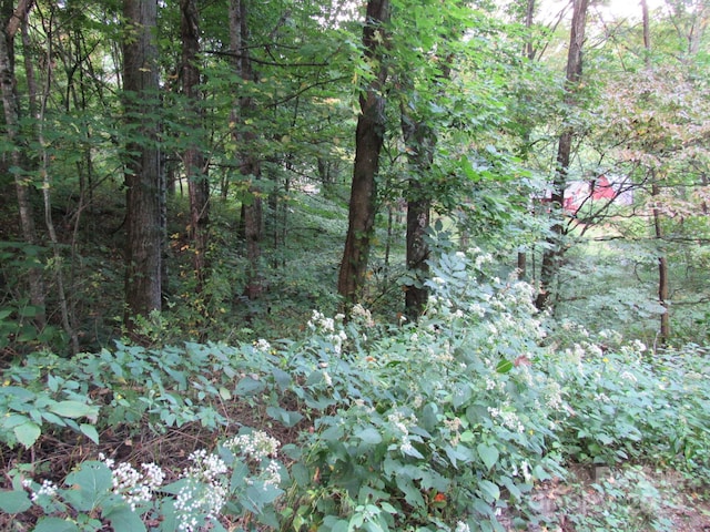 Listing photo 2 for LOT211B Apple Creek Rd Unit 211, Waynesville NC 28786