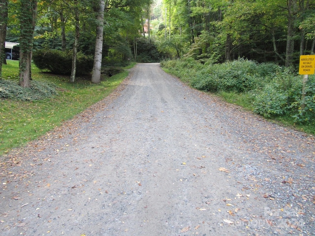 LOT211B Apple Creek Rd Unit 211, Waynesville, NC 28786