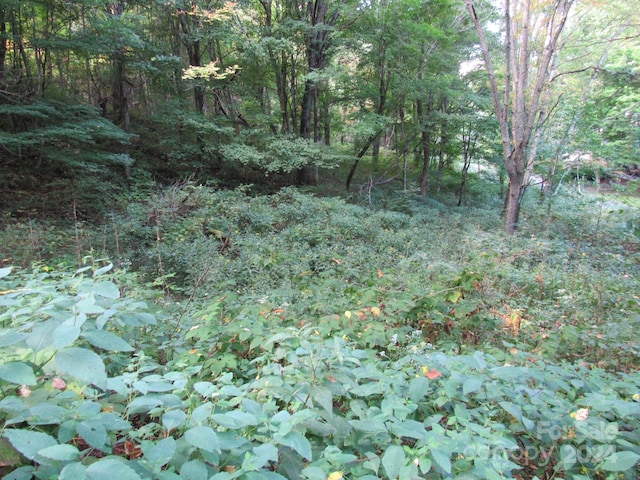LOT211B Apple Creek Rd Unit 211, Waynesville, NC 28786