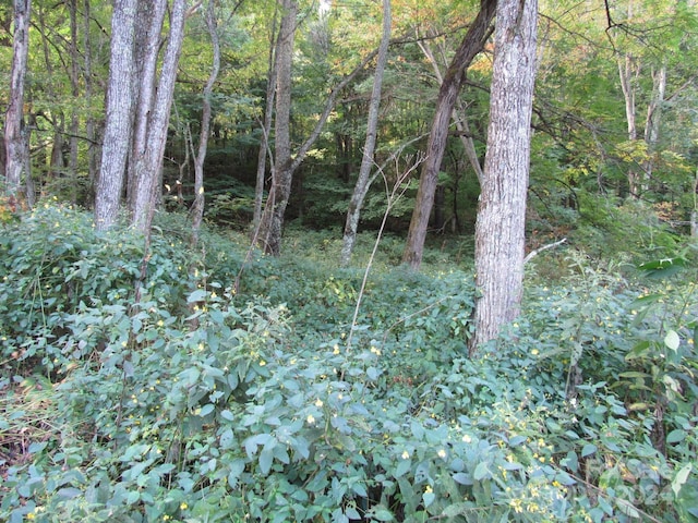 LOT211B Apple Creek Rd Unit 211, Waynesville, NC 28786
