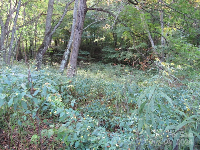 LOT211B Apple Creek Rd Unit 211, Waynesville, NC 28786