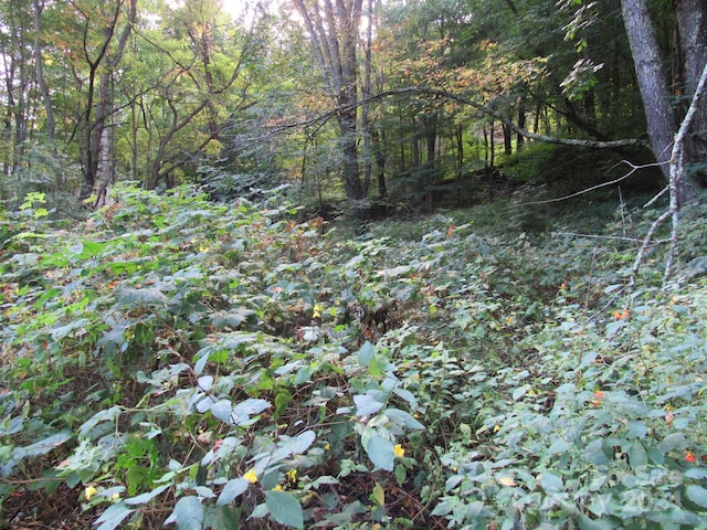 LOT211B Apple Creek Rd Unit 211, Waynesville, NC 28786