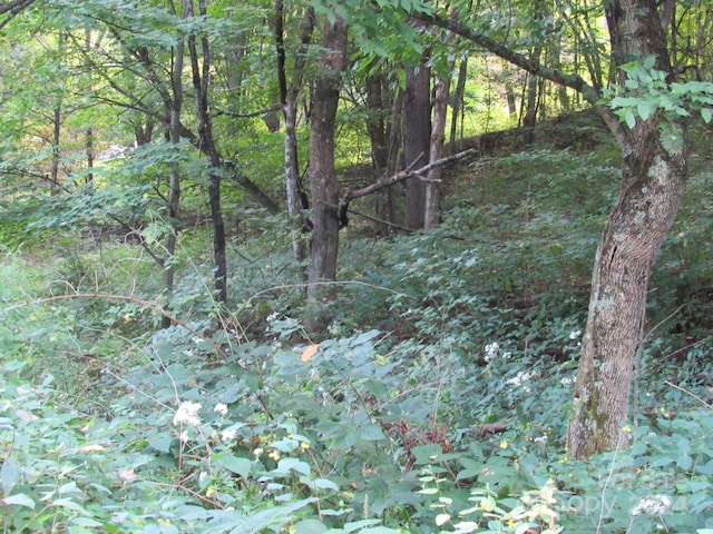 LOT211B Apple Creek Rd Unit 211, Waynesville, NC 28786
