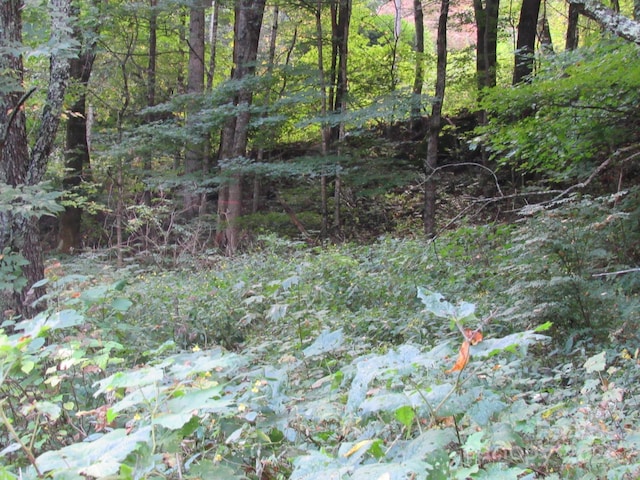 LOT211B Apple Creek Rd Unit 211, Waynesville, NC 28786