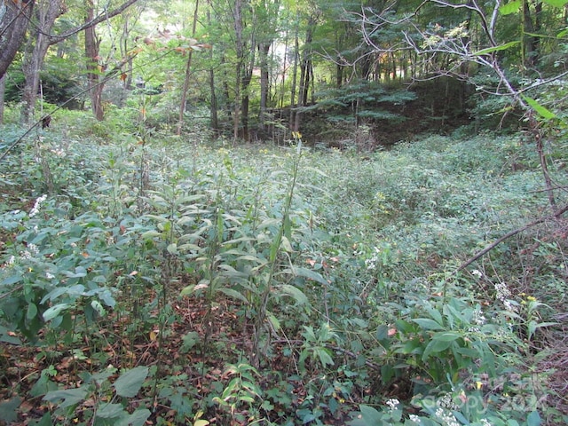 LOT211B Apple Creek Rd Unit 211, Waynesville, NC 28786