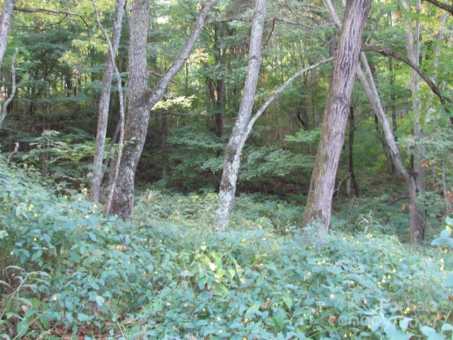 LOT211B Apple Creek Rd Unit 211, Waynesville, NC 28786
