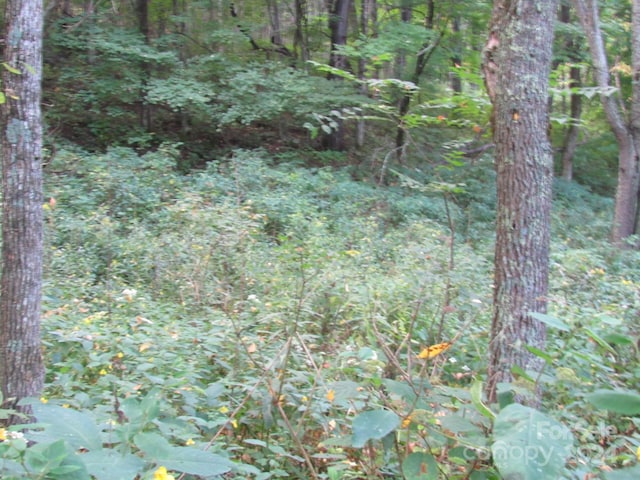 LOT211B Apple Creek Rd Unit 211, Waynesville, NC 28786